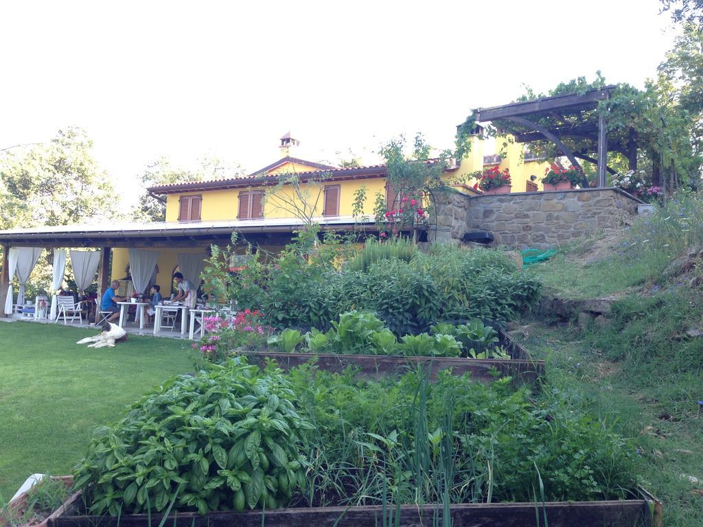 Agriturismo Borgo Nuovo Di Mulinelli Arezzo Kültér fotó